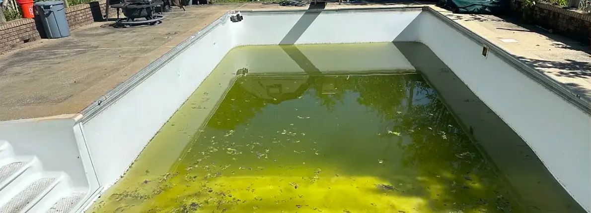 Pool Before Renovation